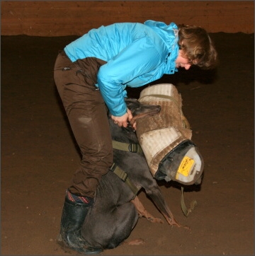 Training in Estonia 11/2007